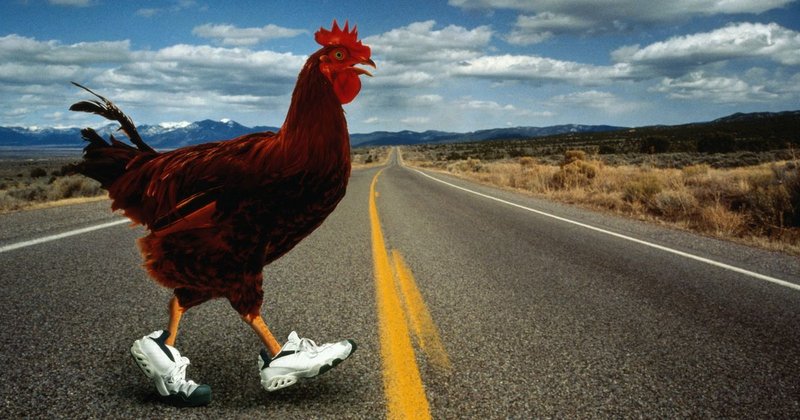 Conoce el Mito de la Carretera de las Gallinas en España